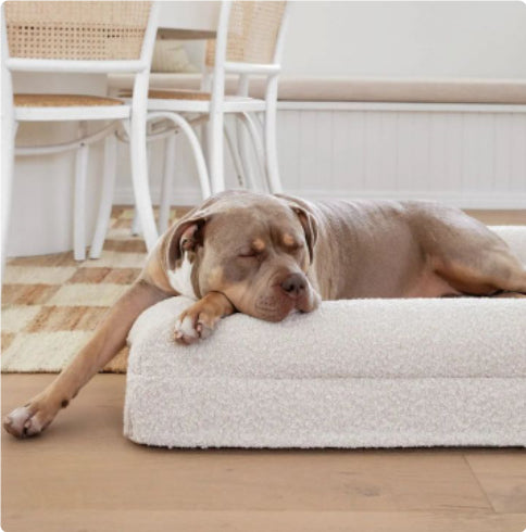 Rectangular Pet Sofa Bed Thickened Mattress