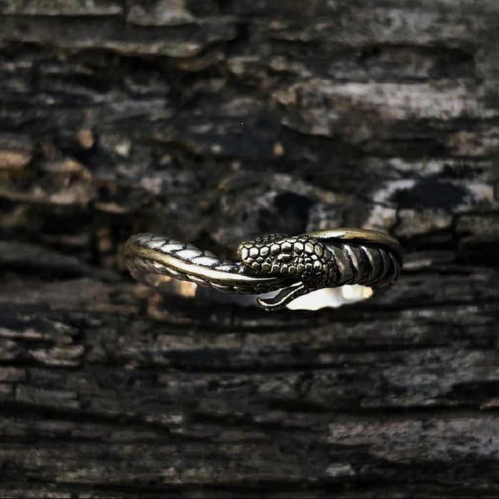 Ouroboros Ring Men's Fashion Personalized Hip Hop Punk