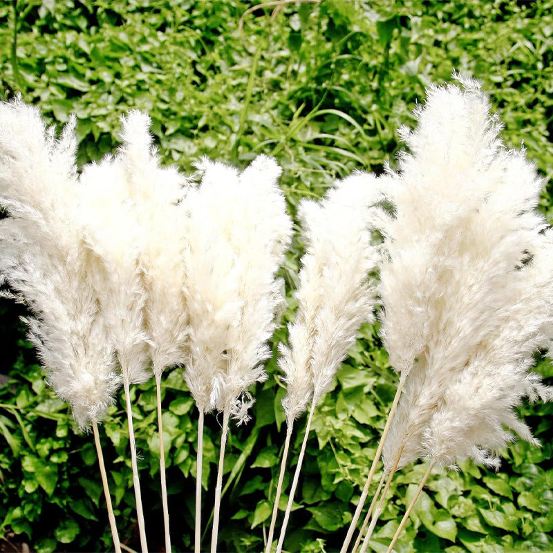 Reed dried flower bouquet