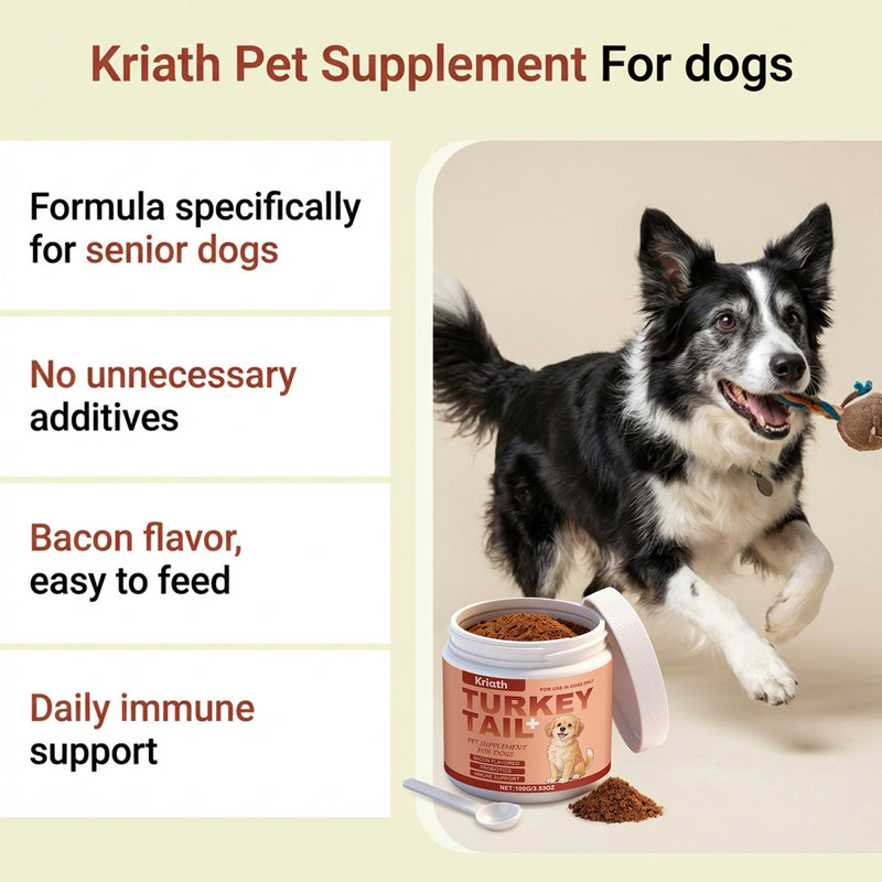 Suplementos imunológicos para cães