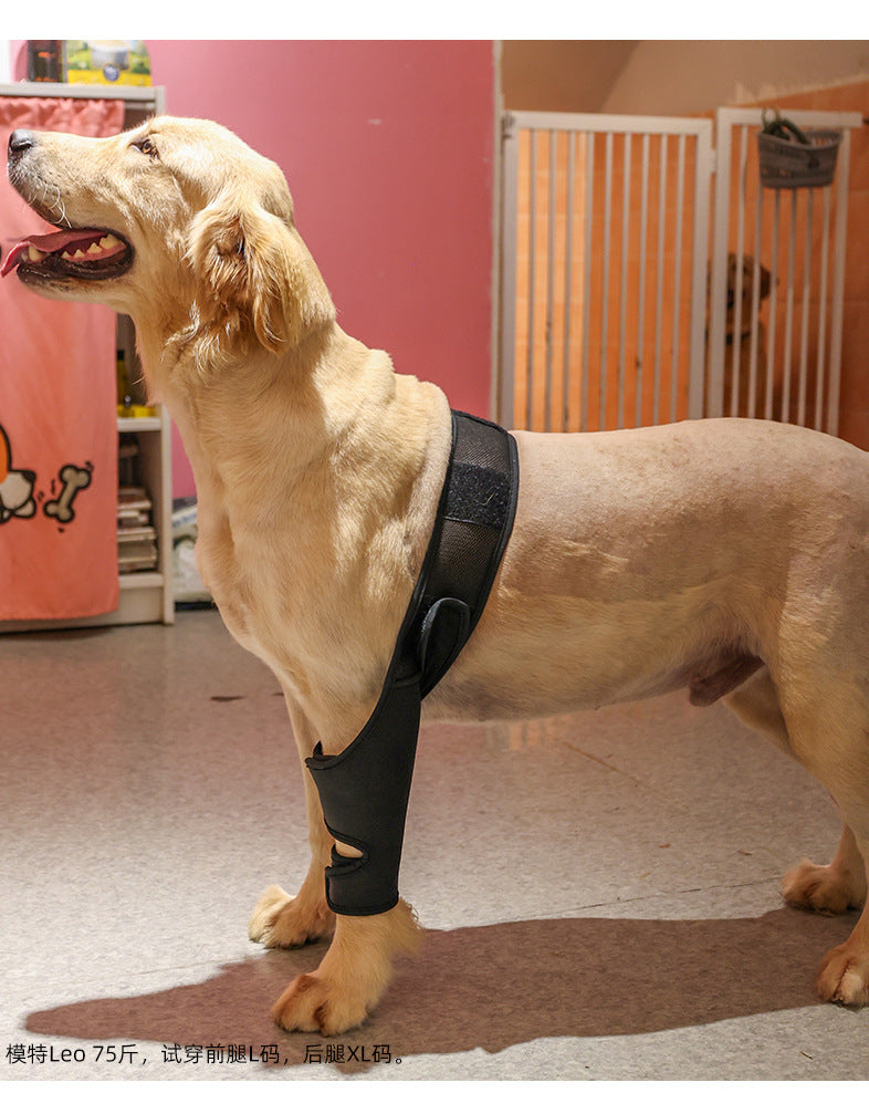 Pet Joint Protector Fracture Disability Fixed Knee Pad Leg Auxiliary Strap Dog Postoperative Protective Cover