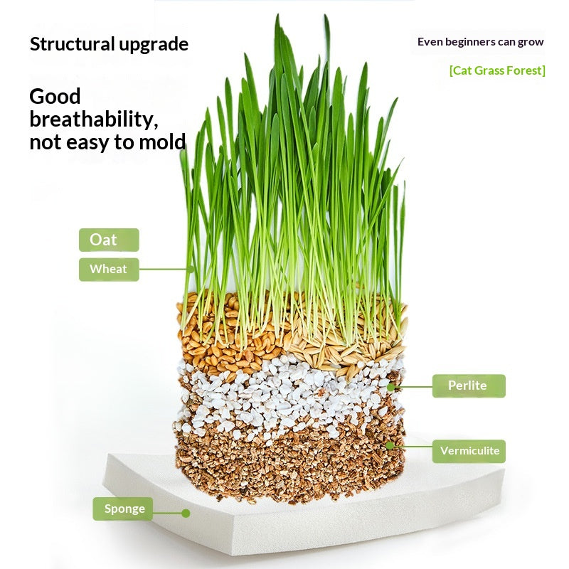 Soil-free Mixed Cat Grass Treats