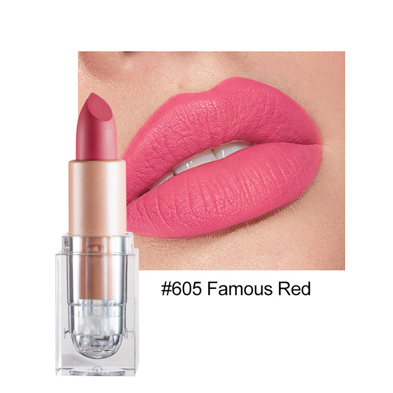 Kleiner Eiswürfel Matte 12-Farben-Lippenstift