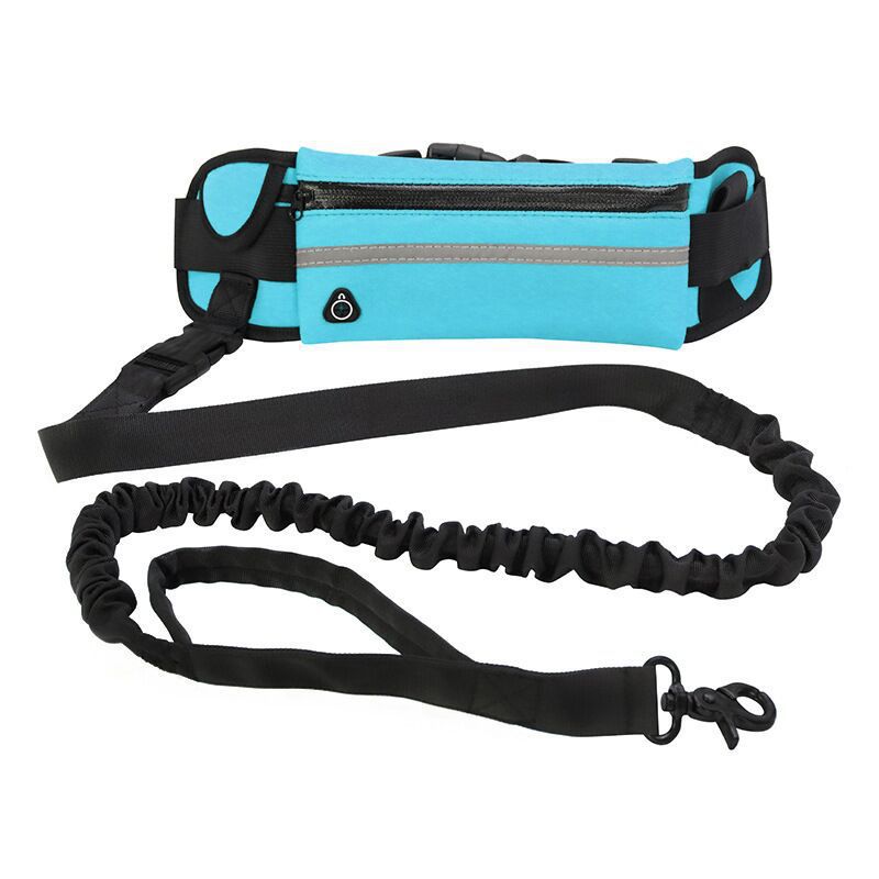 Trela de Bolsa para Passeio de Cão