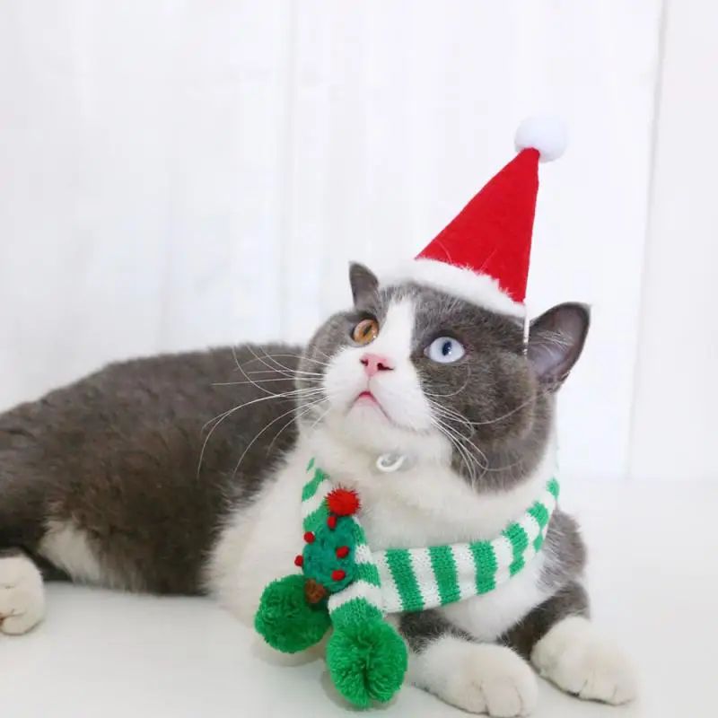 Verstellbare Accessoires Kleiner Welpe Winter Warmer Hund Katze Weihnachten Gestrickter Schal Halsband Kätzchen Schals Haustierkleidung Für Chihuahua