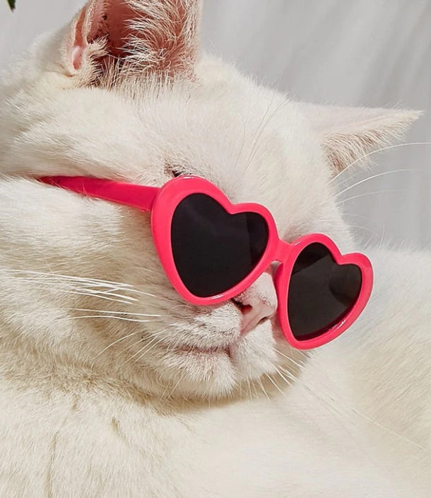 Puppen Sonnenbrille Haustierspielzeug Zubehör