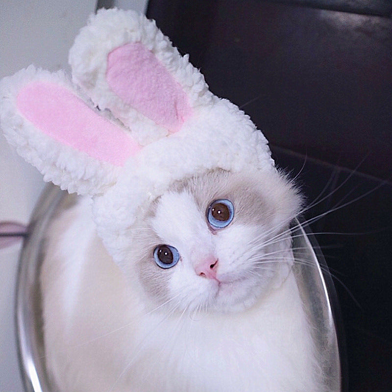 Divertido disfarce de cão e gato, gorro quente, adereço para fotos, acessório de cabeça
