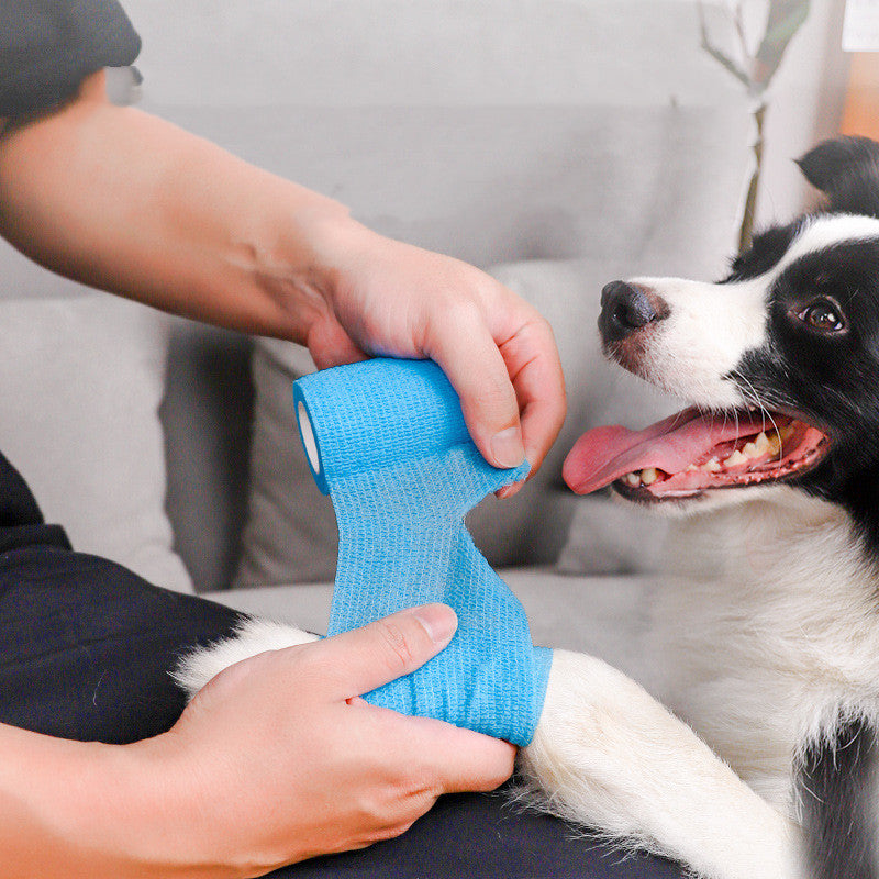 Produtos para cães: acessórios para passeios de cachorros que evitam a sujidade