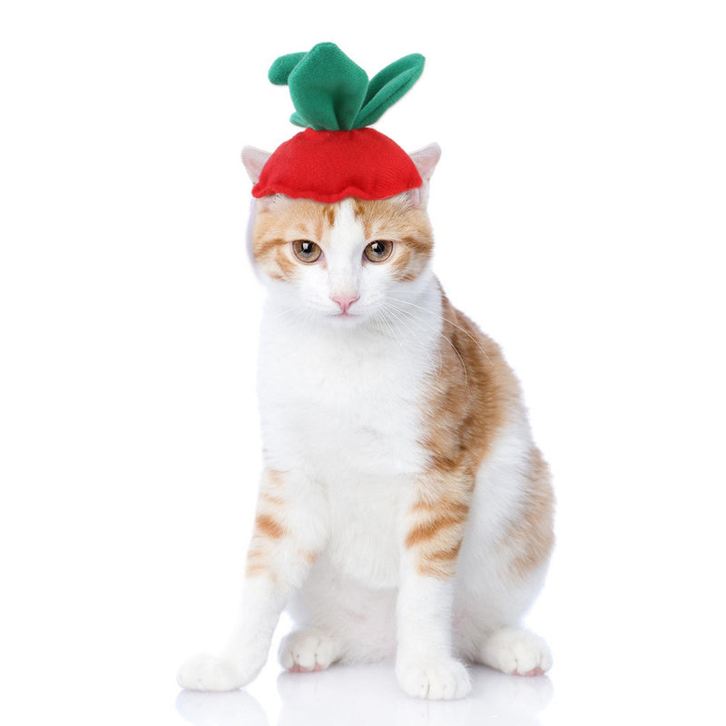 Divertido disfarce de cão e gato, gorro quente, adereço para fotos, acessório de cabeça