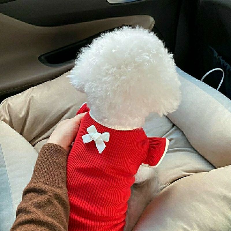 Cat Summer Clothes Small Puppies Pet Dog Thin Breathable