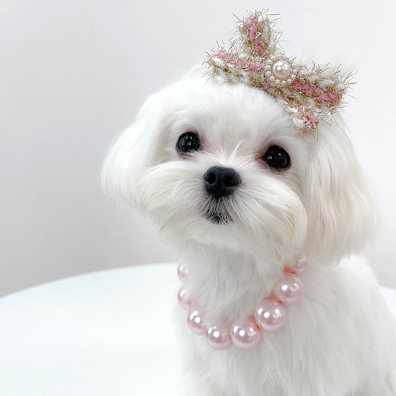 Coleira para animais de estimação, trela para cão, colar para gato
