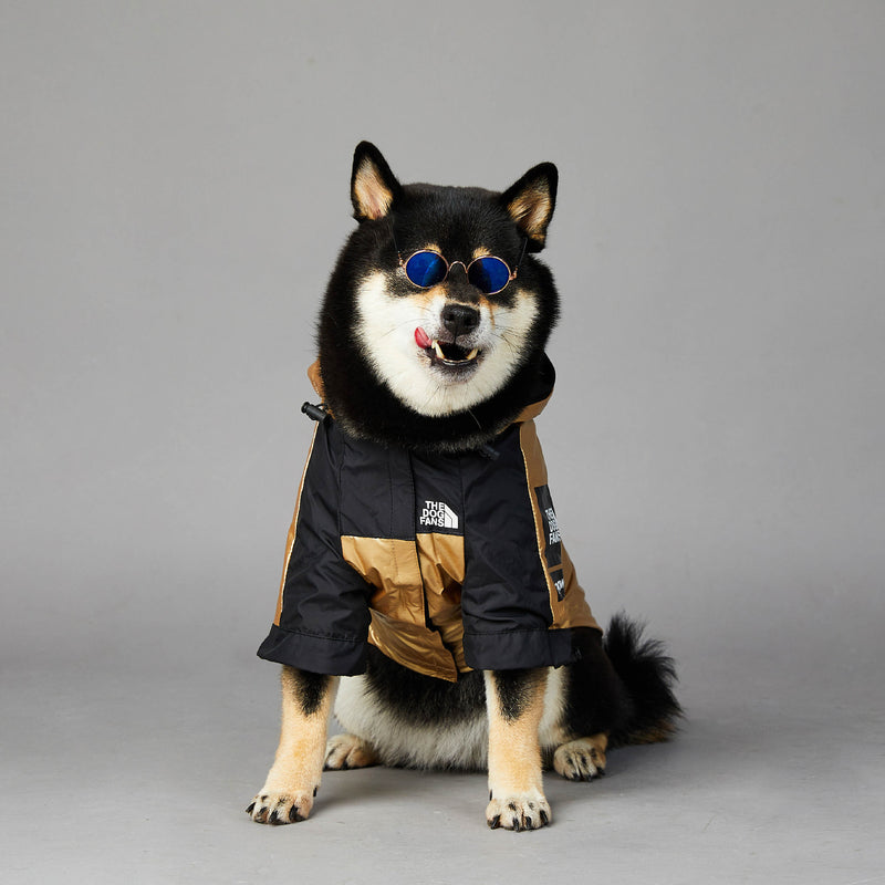 Capa de Chuva para Cão de Porte Grande Casaco para Animal de Estimação