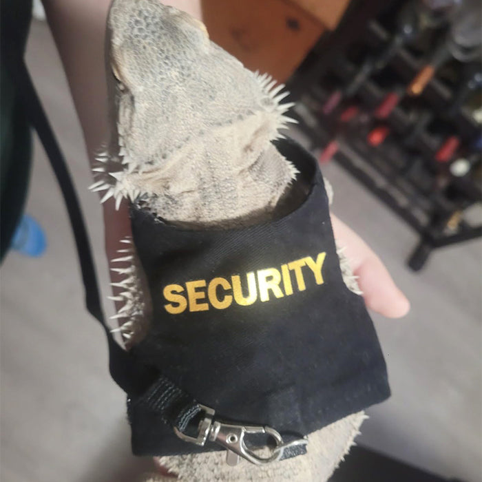 Lizard Leash Reptile Outdoor Chest And Back Harness
