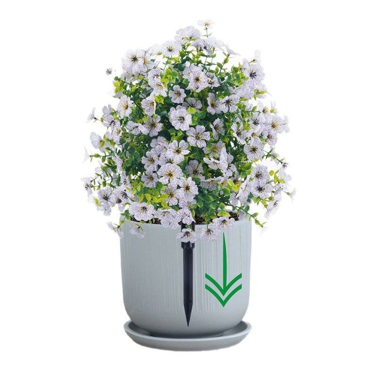 Eucalyptus Violet Floor Outlet Garden Green Plant
