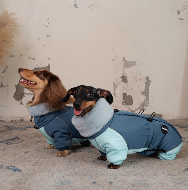 Casaco acolchoado de algodão quente e grosso de quatro patas para Dachshund para outono e inverno