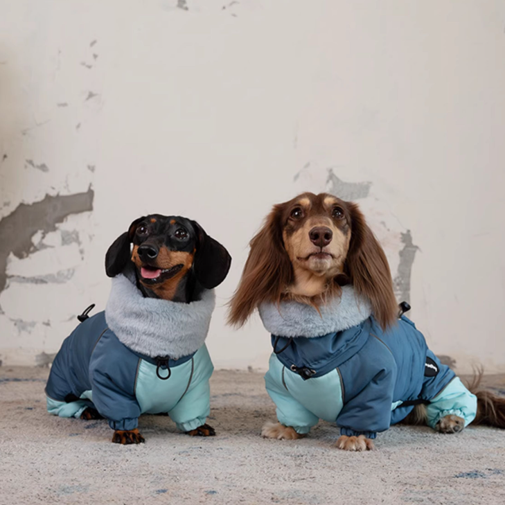 Casaco acolchoado de algodão quente e grosso de quatro patas para Dachshund para outono e inverno
