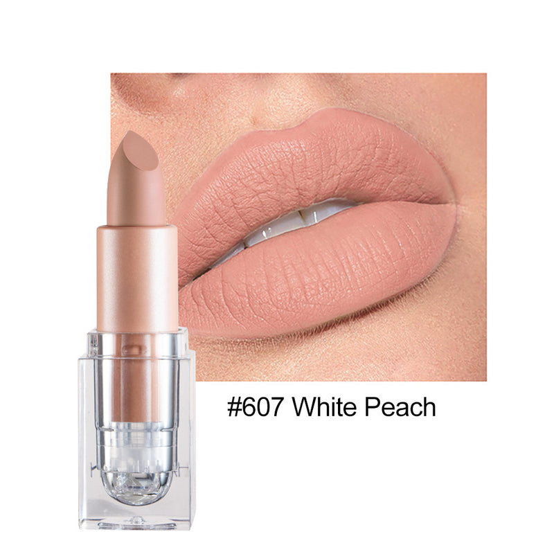 Kleiner Eiswürfel Matte 12-Farben-Lippenstift