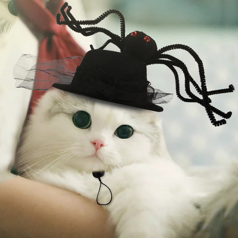 Divertido disfarce de cão e gato, gorro quente, adereço para fotos, acessório de cabeça