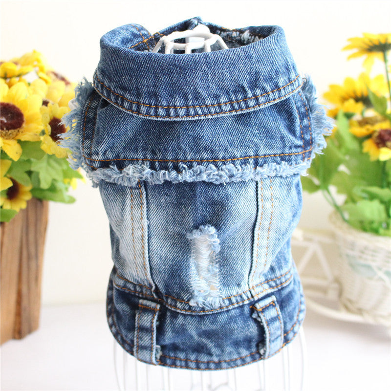 Casaco de ganga para cão, roupa de designer para cão pequeno, fato de gato, colete de ganga para cachorro, roupa de primavera
