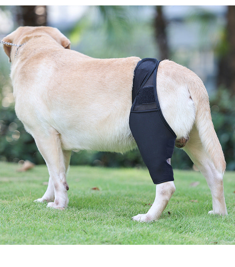 Pet Joint Protector Fracture Disability Fixed Knee Pad Leg Auxiliary Strap Dog Postoperative Protective Cover