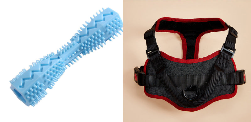 Brinquedos para mastigar para limpeza de dentes de cachorro