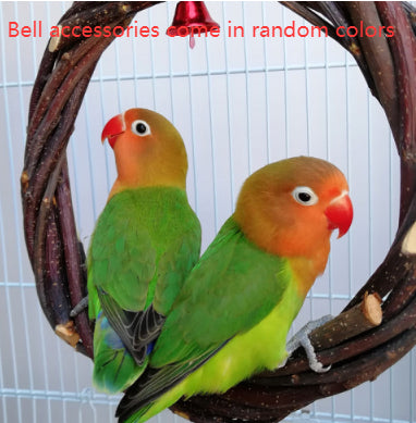 Bird Standing Frame Rattan Ring Chewing Toy Bird Cage