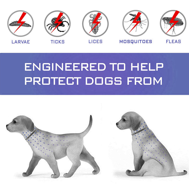 Coleiras para cão e gato para eliminar pulgas e repelir mosquitos