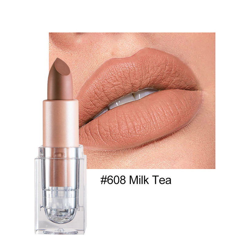 Kleiner Eiswürfel Matte 12-Farben-Lippenstift