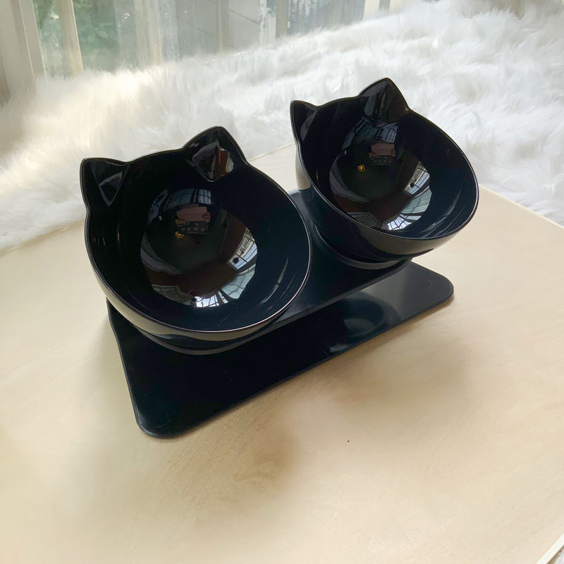 Cat Elevated Feeder Stand With Transparent Bowl