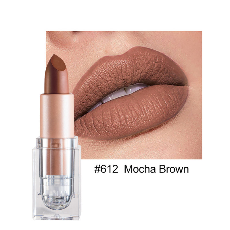 Kleiner Eiswürfel Matte 12-Farben-Lippenstift