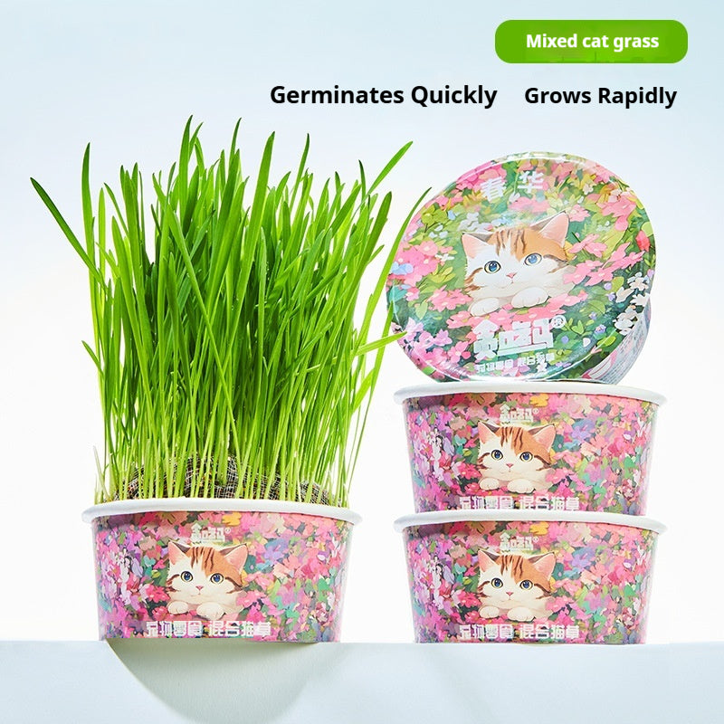 Soil-free Mixed Cat Grass Treats