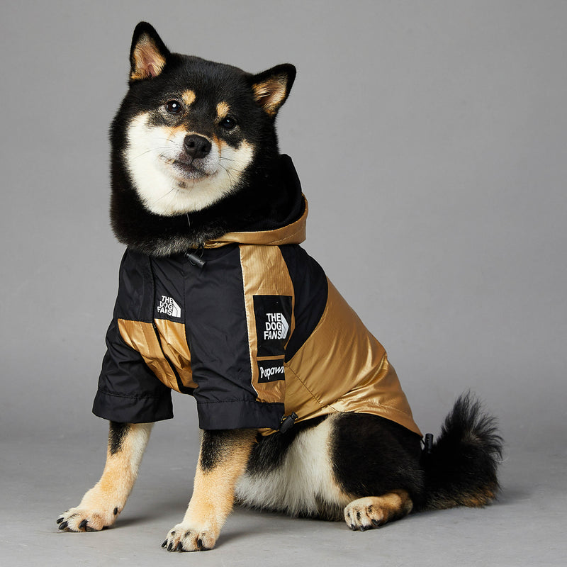 Capa de Chuva para Cão de Porte Grande Casaco para Animal de Estimação