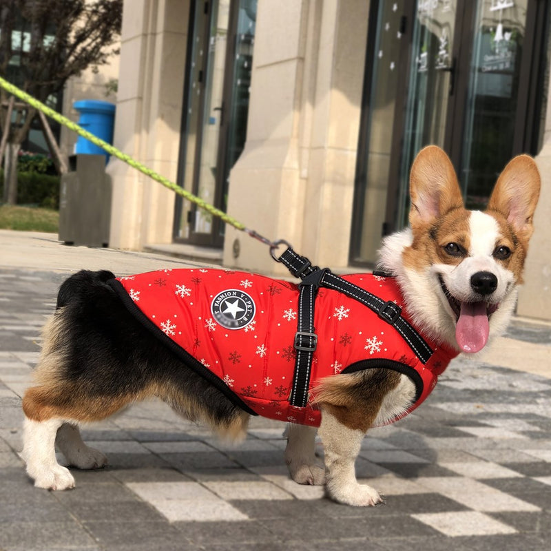 Weihnachtliche wasserdichte reflektierende Hundegeschirr-Weste, warm für Herbst und Winter