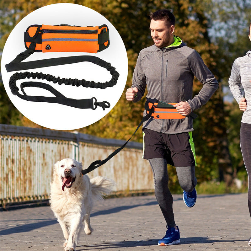Trela de Bolsa para Passeio de Cão