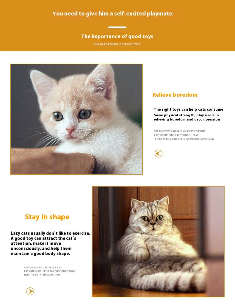 Brinquedo de Mola de Plástico Colorido para Gatos Artigos para Animais de Estimação