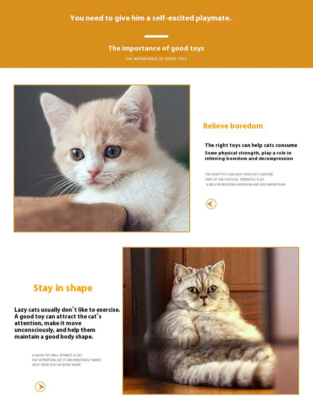 Brinquedo de Mola de Plástico Colorido para Gatos Artigos para Animais de Estimação