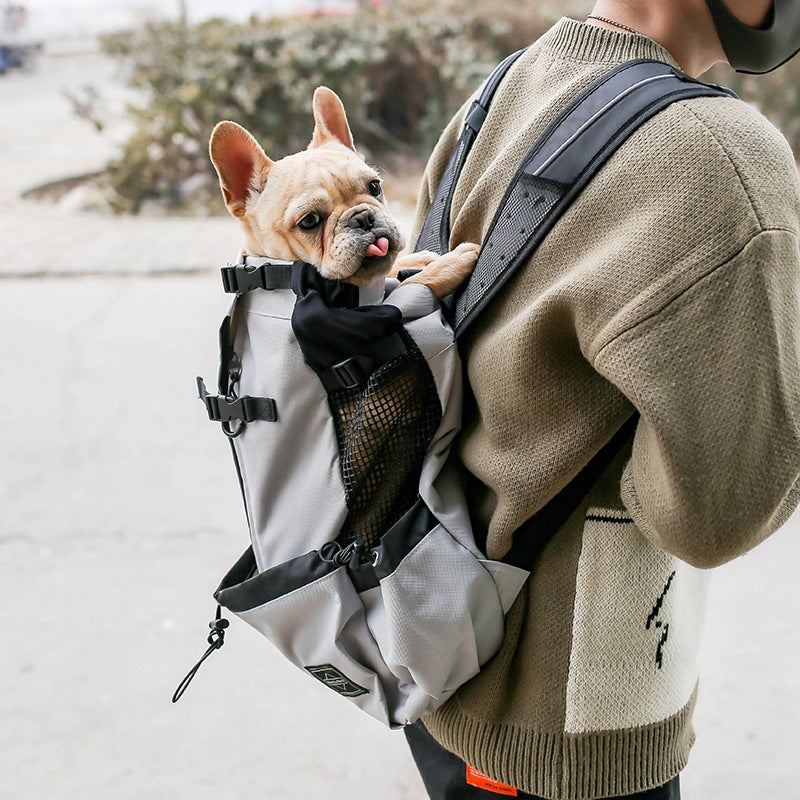 Mochila para animais de estimação exposta, ventilada, respirável e lavável