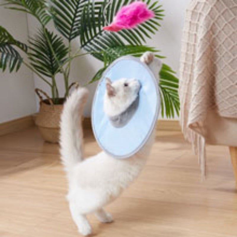 Waterproof Cat Recovery Collar  Adjustable Pet Cone Collar  Protective Cat Neck Cones To Stop Licking Wounds Lightweight Kitten Cones After Surgery Elizabethan E Collar For Cats Small Dog Puppy