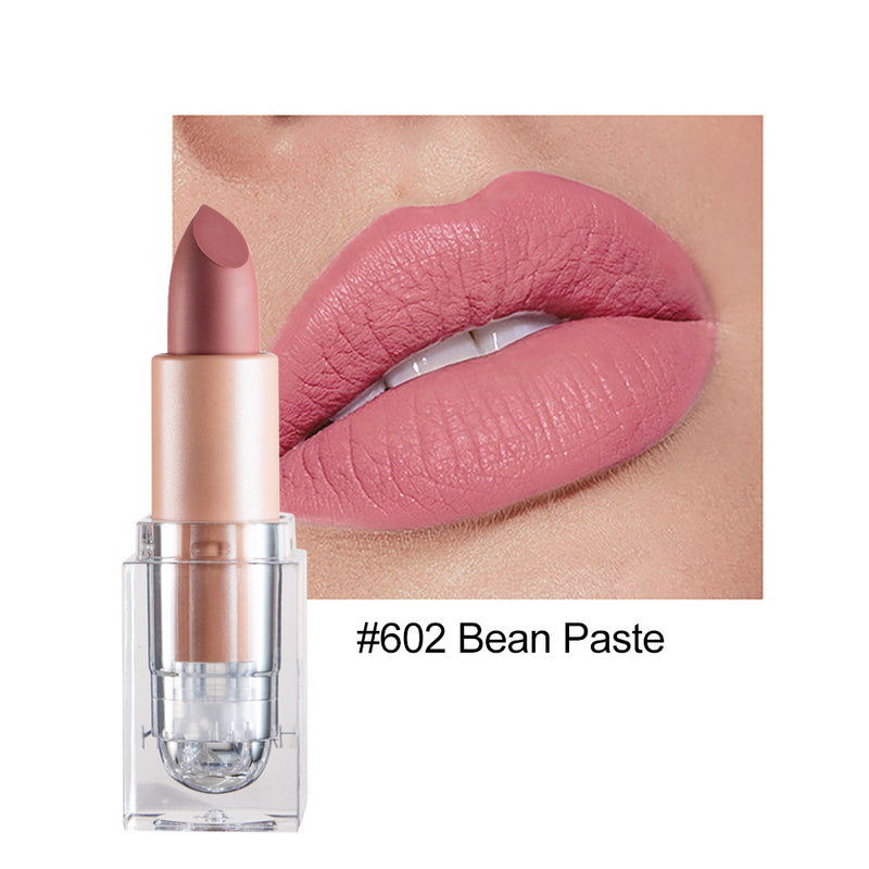 Kleiner Eiswürfel Matte 12-Farben-Lippenstift