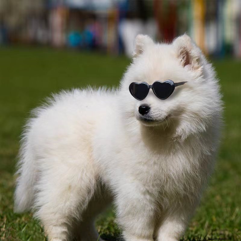 Puppen Sonnenbrille Haustierspielzeug Zubehör