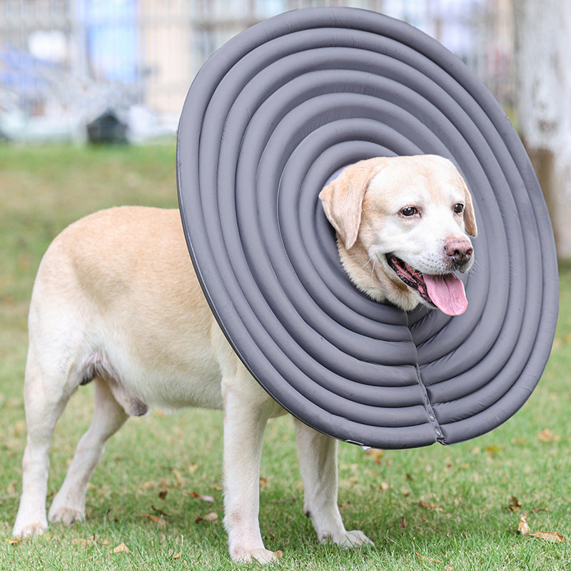 Pet Creative Summer Swimming Anti-licking And Biting Protection Ring