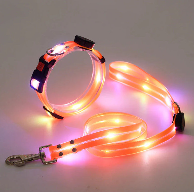 LED Luminous Collar Rechargeable Pet Collar Nylon Tow Rope