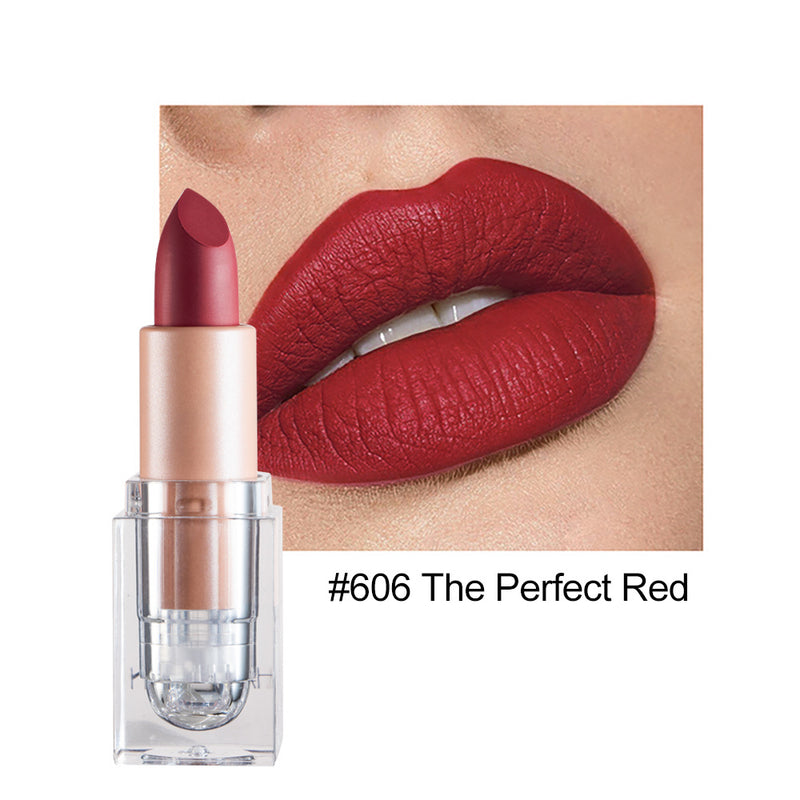 Kleiner Eiswürfel Matte 12-Farben-Lippenstift