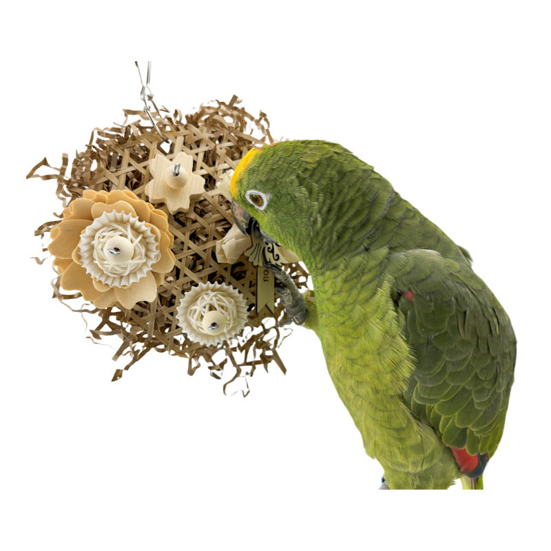 Papagaio natural ricepaperplant pith bola segurança planta roendo brinquedo molar