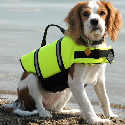 Niedrige Schwimmweste für Hunde, süße Hundebadebekleidung, Sicherheitsweste für große und mittelgroße Hunde